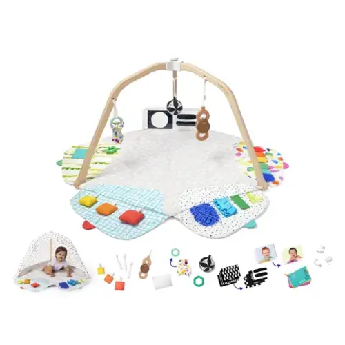 The Play Gym