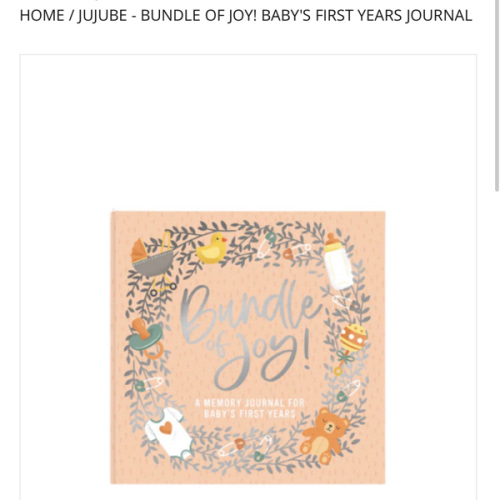 Baby's First Years Journal Toymasters