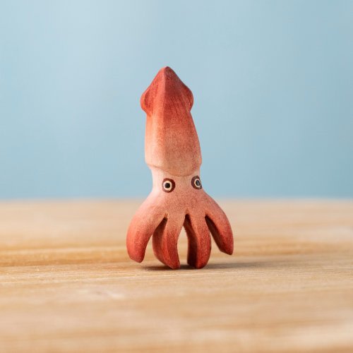 Squid