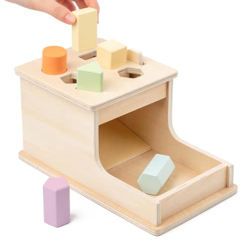 Busy edition Montessori Toys Object Permanence Box with 6 Wooden Blocks,Montessori Toys for Babies 6-12 Months,Wooden Baby Toys for 1 Year Old Infants Toddlers,Ball Drop Toy for 1 2 3 Year Old