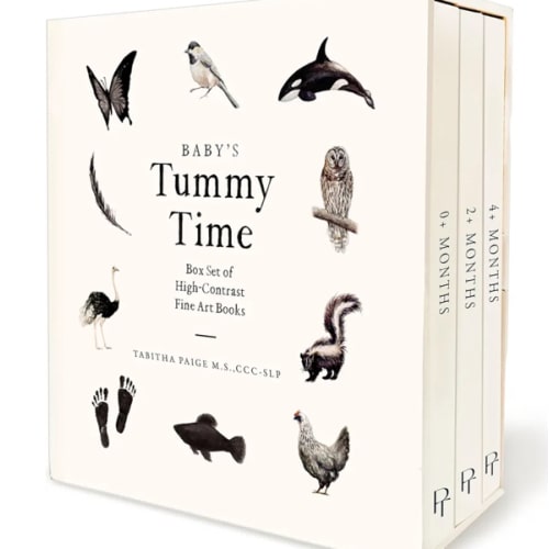 Baby's Tummy Time Book Box Set: A 3-Book Box Set of High-Contrast Art for Visual Stimulation at Tummy Time (Our Little Adventures Series)