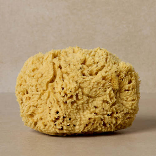 Natural Bath Sea Sponge