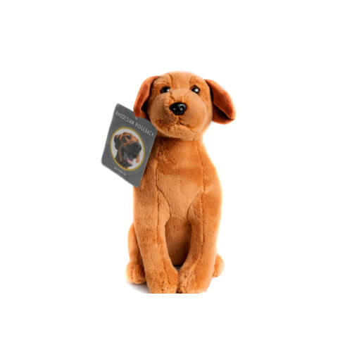 Rhodesian Ridgeback Plush Toy - Marking Our Territory