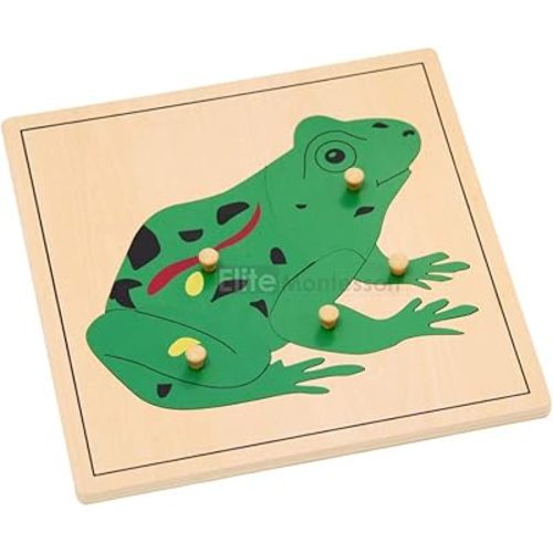 Elite Montessori Frog Puzzle