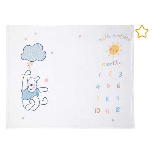 Milestone Baby Blanket
