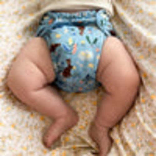 Organic Cloth Diaper Bundle Starter – Esembly