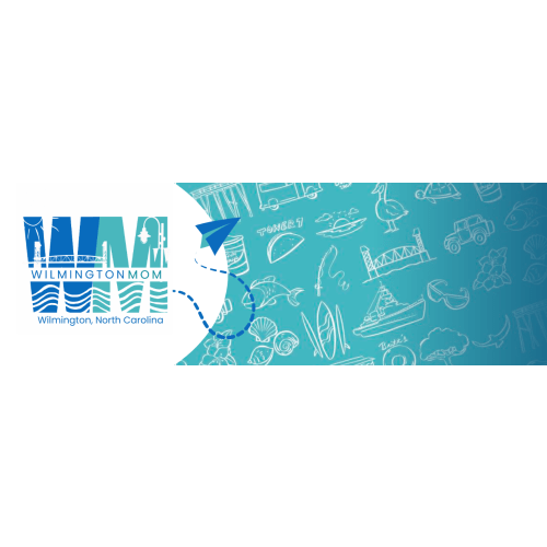 Wilmington Baby Swaddle