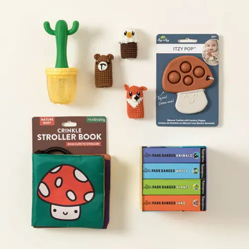 Gift Set with Cactus Feeder/Teether