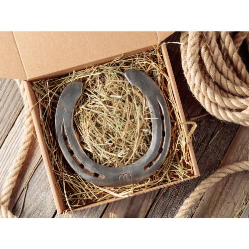 Personalized Lucky Horseshoe Gift: Real Horse-Worn, Engraved