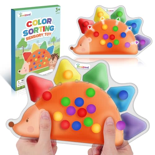 Color Sorting Sensory Toys for Toddlers : Fine Motor Skill Games Learning Toy for Toddlers, Color Matching Preschool Activities Educational Calm Down Montessori Toys for Kids Boy Girl Gifts Ages 3+
