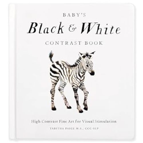 Baby's Black and White Contrast Book: High-Contrast Art for Visual Stimulation at Tummy Time (Our Little Adventures Series)