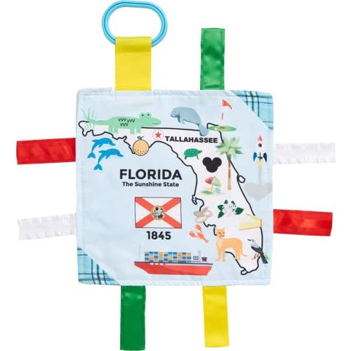 Florida Theme Crinkle Toy