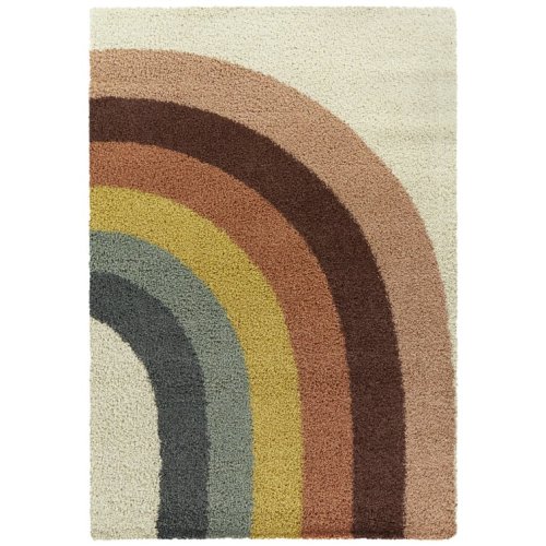 Camilo Rainbow Shag Area Rug