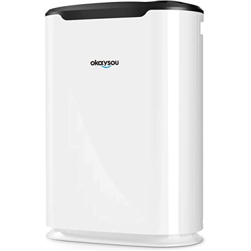 Okaysou AirMax8L 19.4” 5-in-1 Large Room Air Purifier for Home, True HEPA Filter, Air Cleaner for Smokers, Pets, Eliminates Dust, Mold, Odor, VOCs, with Double Filtration System