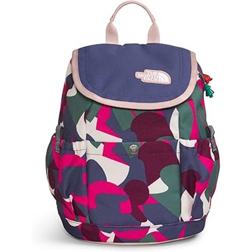 THE NORTH FACE Teen Mini Explorer Backpack, Mr. Pink Big Abstract Print/Cave Blue/Pink Moss, One Size
