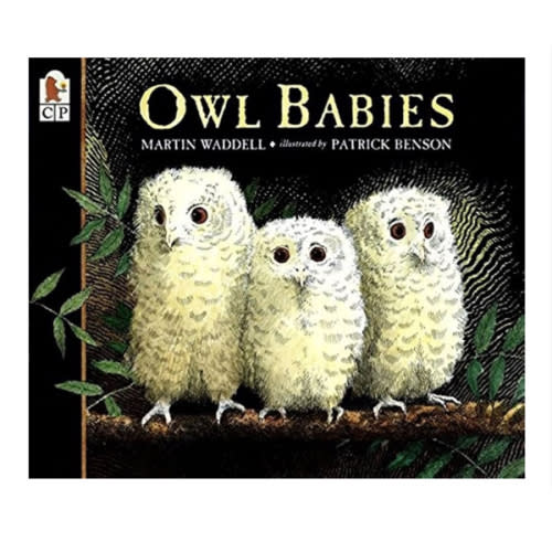 Owl Babies