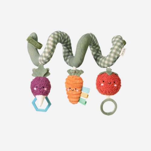 Spiral Veggie Activity Toy
