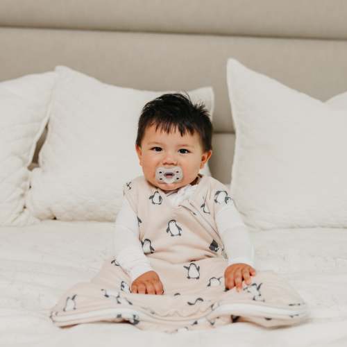 Sleep Bag - Penguins