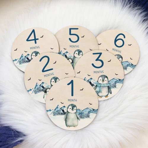Penguin Milestone Cards, Baby Milestone Arctic Animal Marker, Wood Milestone Card, Baby Milestones, Penguin Arctic Nursery Theme B61