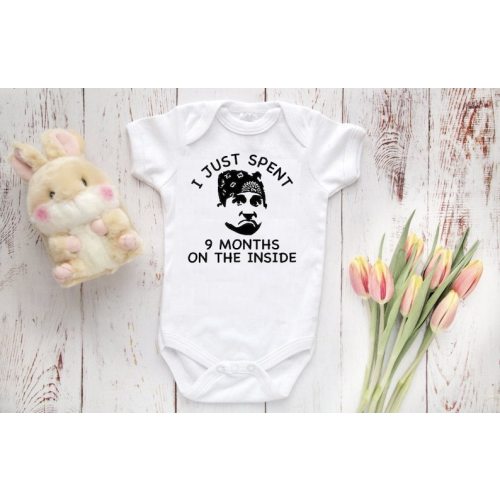 The Office Bodysuit I Just Spent 9 Months on the Inside BABY - Etsy