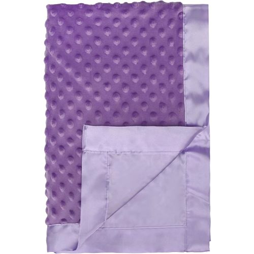 Pro Goleem Baby Soft Minky Dot Blanket with Silky Satin Backing Baby Gifts for Boys and Girls (Purple, 30’’ x 40’’)