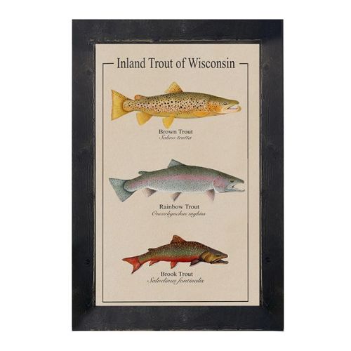Framed Wisconsin Trout Guide