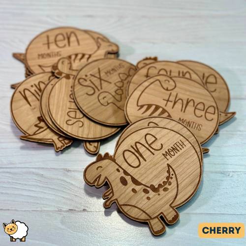 Dinosaur Themed Baby Monthly Milestone Markers, 1 Month to 1 Year, Baby Photos, Baby Milestones Signs, Baby Shower Gift, New Parent Present