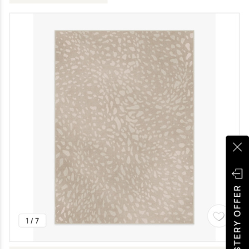 Fawn Stone Rug | Ruggable