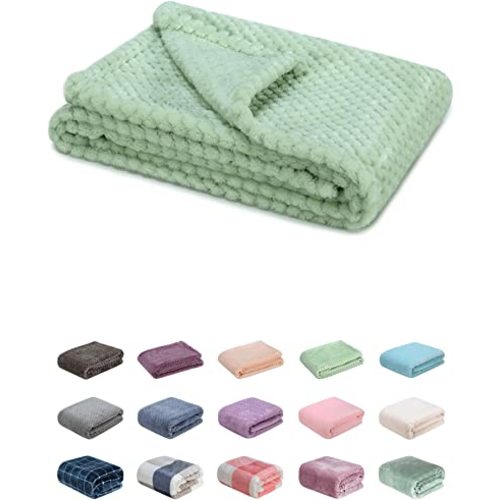 Fuzzy Blanket or Fluffy Blanket for Baby, Soft Warm Cozy Coral Fleece Toddler, Infant or Newborn Receiving Blanket for Crib, Stroller, Travel, Decorative (28Wx40L, XS-Pastel Green)