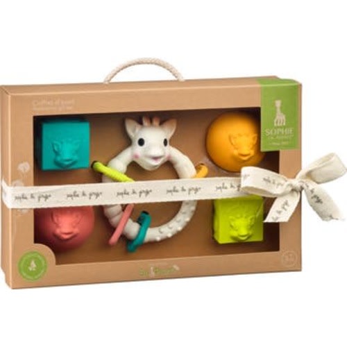 Early Learning Gift Playset