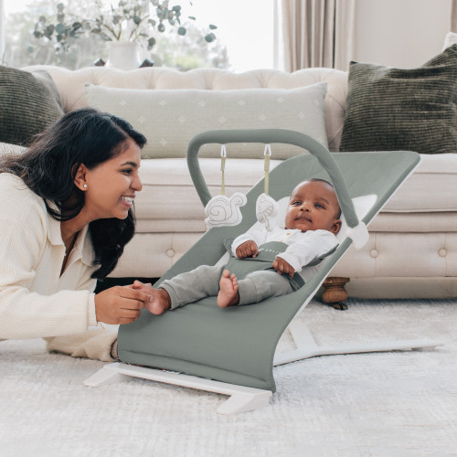 Alpine Deluxe Portable Bouncer - Organic Sage