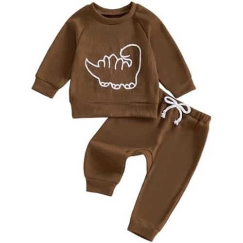 Karwuiio Conjunto de 2 piezas de sudadera de manga larga con bordado de dinosaurio para bebé niño y niño pequeño