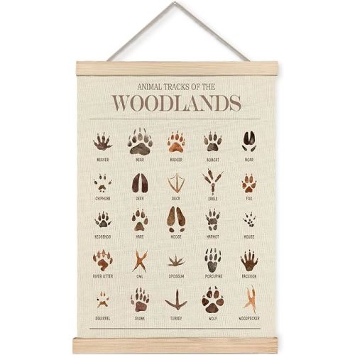 Foritho Animal Tracks of the Woodlands Poster Wall Art Framed, Woodland Nursery Decor, Jungle Forest Animal Tracks Field Guide Canvas Prints Wall Decor for Nursery Kids Room Playroom, 12x16 Inch