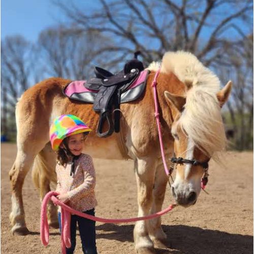 Money for Horseback Riding Lessons