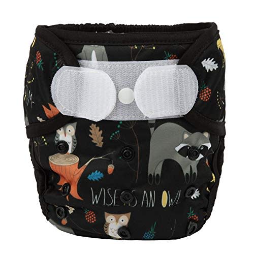 Baby Cloth Diaper Cover Nappy Hook and Loop Double Gusset for Boys (Racoon Owls)