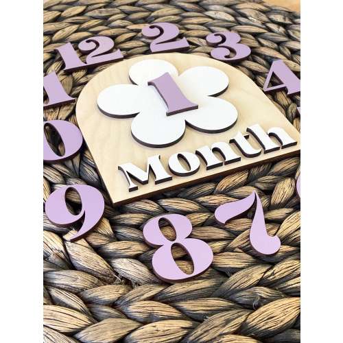 Wooden Monthly Milestone Baby Disc Baby Milestone Cards Monthly Milestone Markers for Baby Photos Baby Photo Prop Baby Shower Month Photos