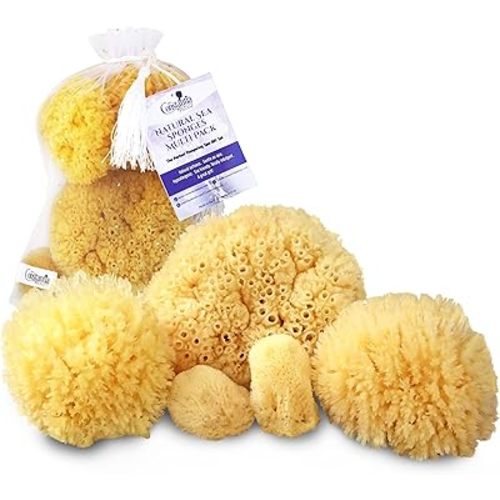 Real Natural Sea Sponges Multipack - 5pc Spa Gift Set in Premium Bag, Kind on Skin, for Bath Shower Facial Cleansing, Pamper Moms Brides Girlfriends & Teens (5 Pack Standard Packaging)