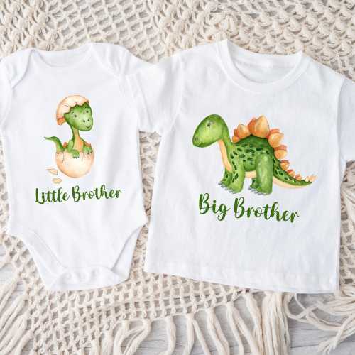 Dinosaur Big Brother Little Brother Shirt, Matching Sibling Shirt, Dinosaur Kids Shirt, Big Brother To Be Shirt, Pregnancy Announcement Tee