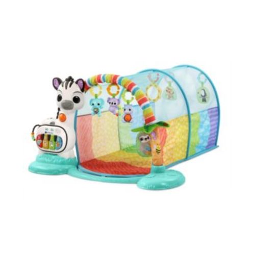 5-in-1 Tunnel of Fun