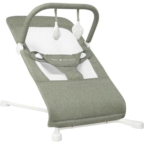 Baby Delight Highland Baby Bouncer | Infant | 0 – 6 Months | 3-Position Recline | Sage Tweed