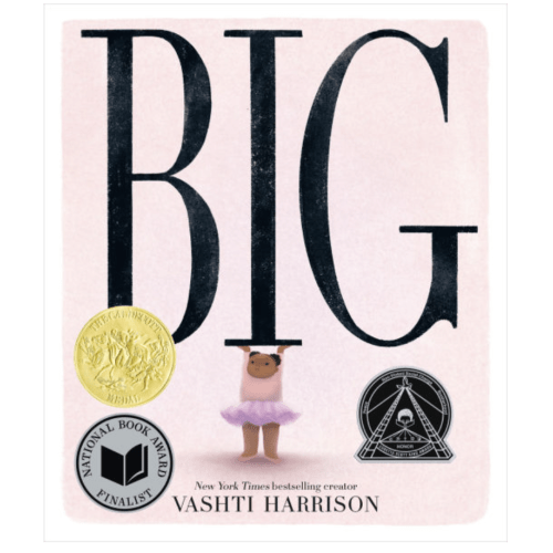 Big (Caldecott Medal Winner) by Vashti Harrison, Hardcover | Barnes & Noble®