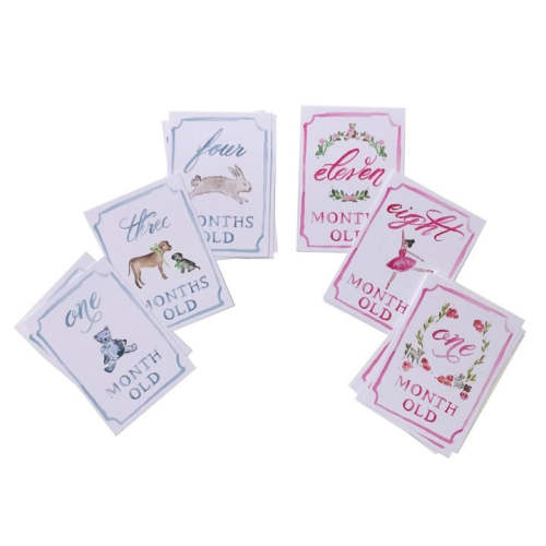 Monthly Milestone Card Set – Over The Moon Gift