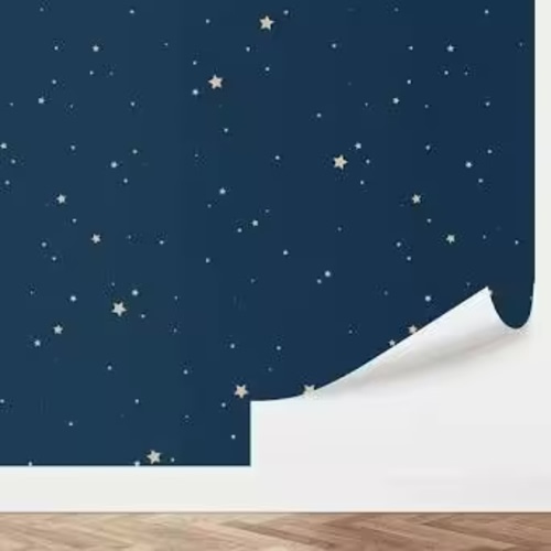 Isabelle & Max™ Rebecca Upon a Star 16.5' L x 20.5" W Peel and Stick Wallpaper Roll | Wayfair