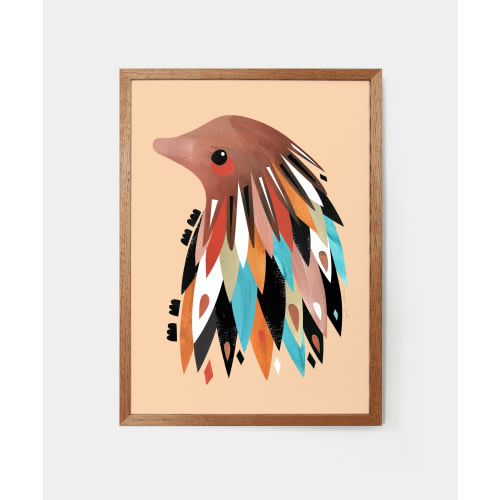Echidna