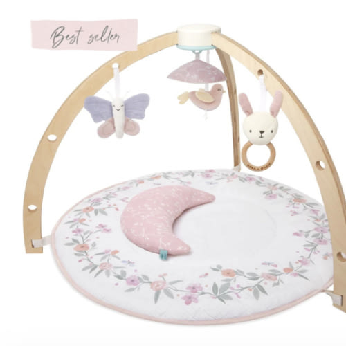 Baby Gym | Premium Baby Activity Gym | aden + anais