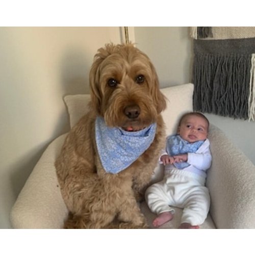 Matching Baby Bib and Dog Bandana| Baby and Fur Baby Match| Bib fits newborn to 3| Dog bandana sized to fit