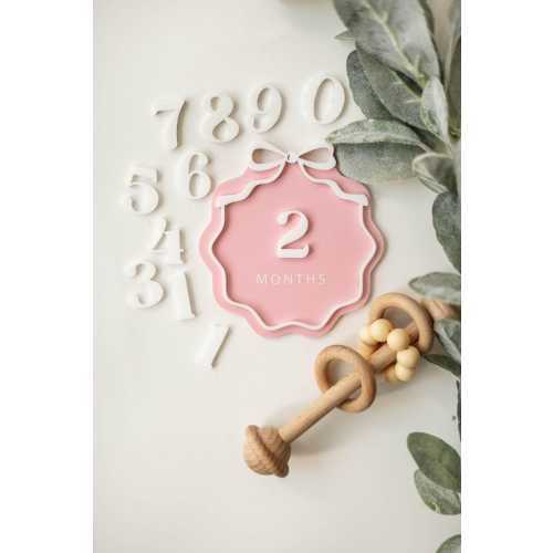 Interchangeable Acrylic Bow Monthly Milestone Markers | Matching Birth Announcement Sign | 1 Month-1 Year Milestone Markers |Baby Photo Prop