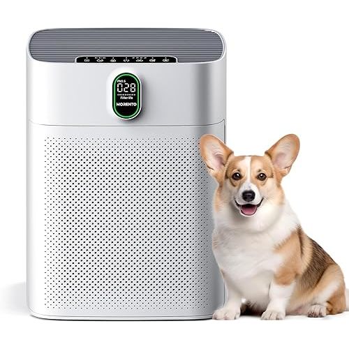 MORENTO Air Purifiers for Home Large Room up to 1076 Sq Ft with PM 2.5 Display Air Quality Sensor for Pet Hair, Double-Sided Air Inlet, 24db, White, 1 Pack + 2 Pack Filters