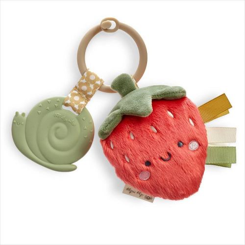 Itzy Ritzy Pal Teether - Strawberry