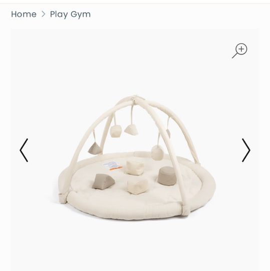 Play Gym
